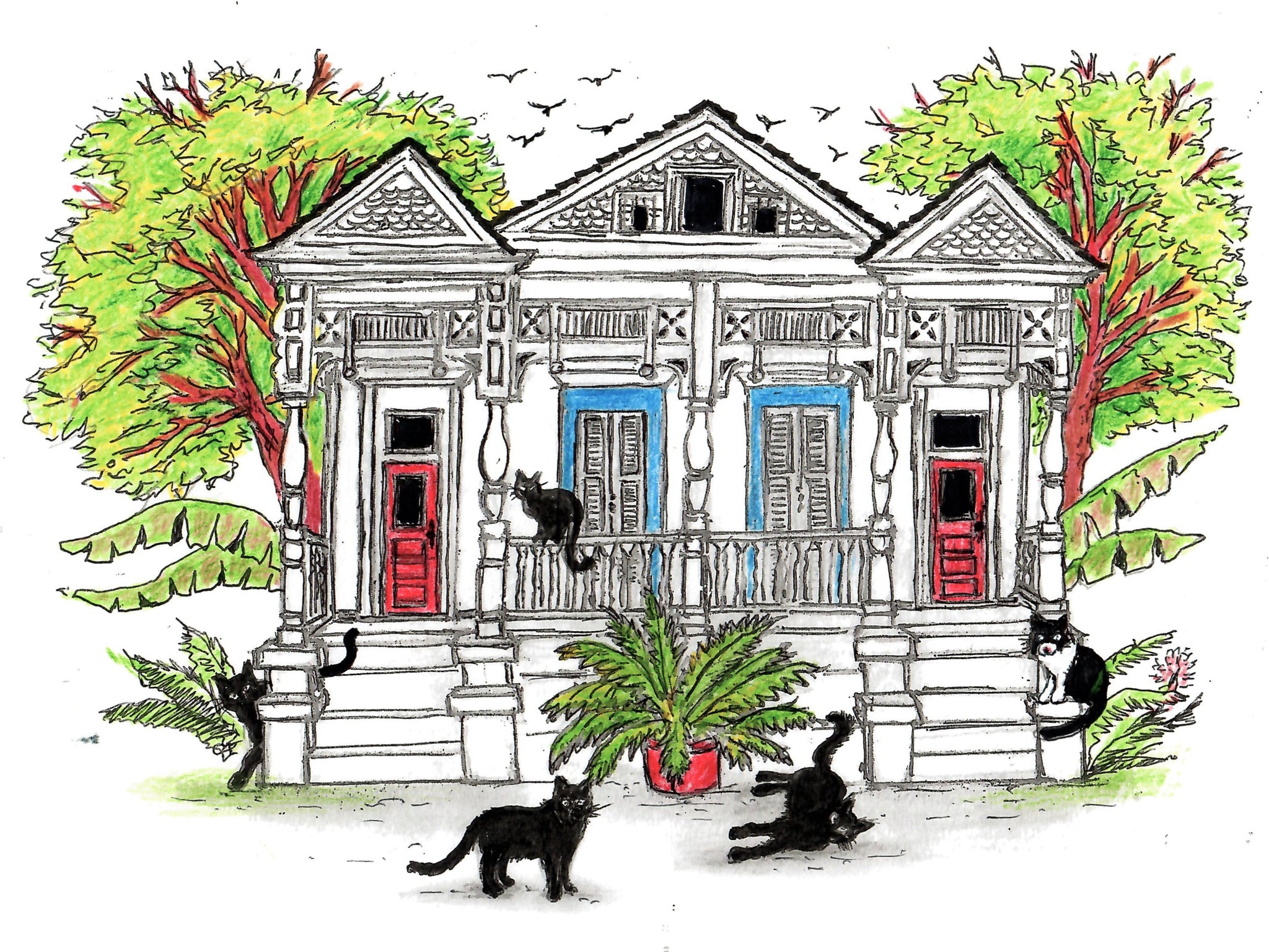 Cats Around A White New Orleans Duplex Shotgun House