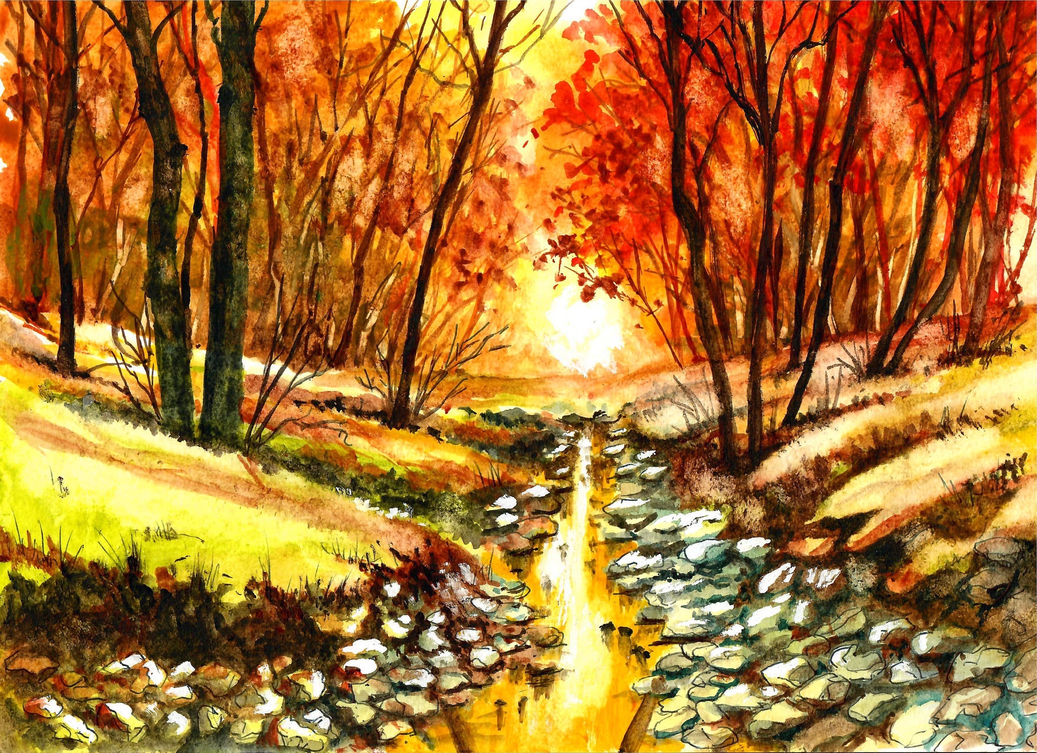 Nature - Rocky Creek In Autumn, Autumn Trees, Autumn Art, Forest Art, Beautiful Trees