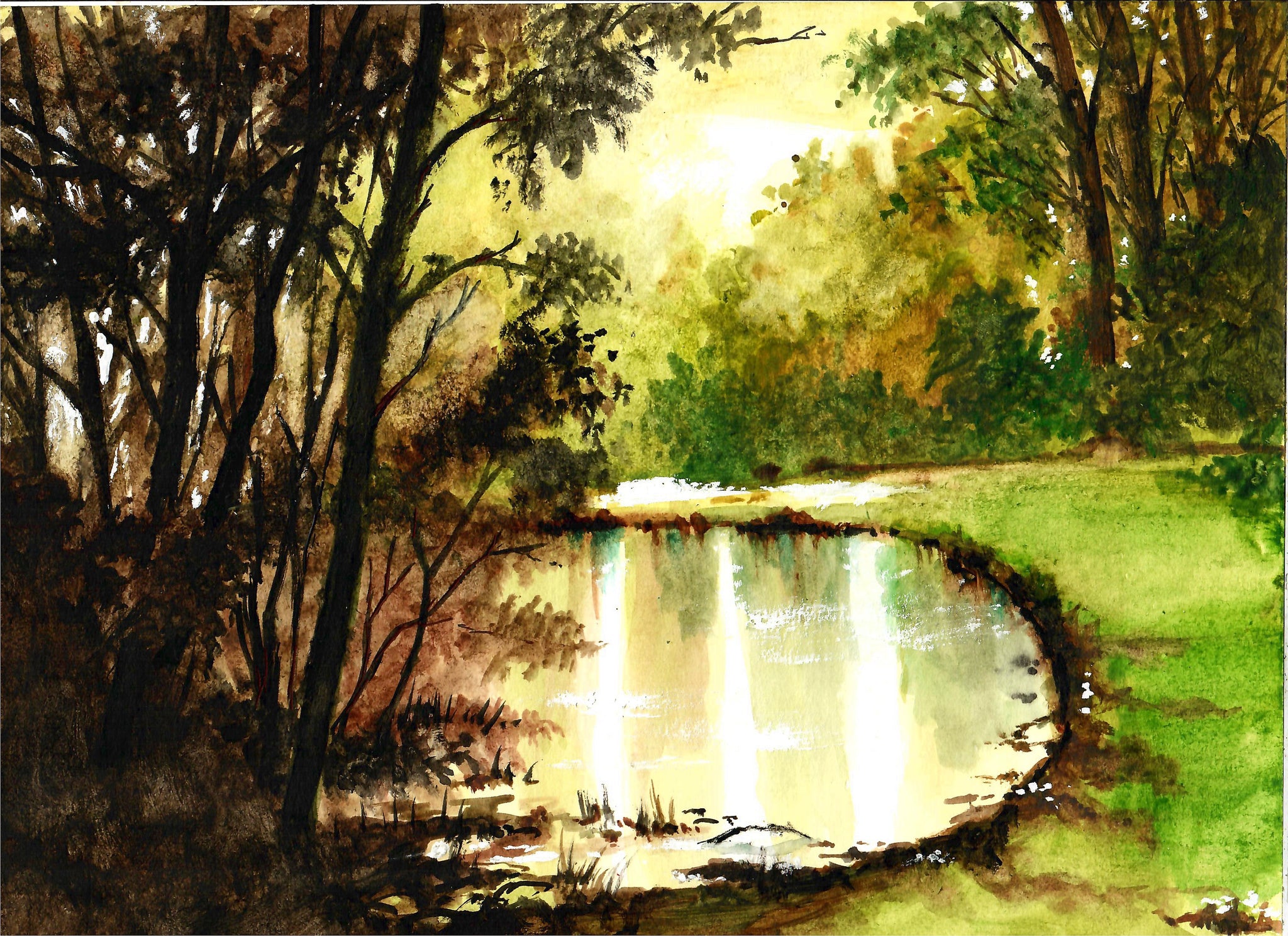 Nature - Sunlight On A Pond, Forest Art, Landscape Art, Sunlight Art, Beautiful Pond
