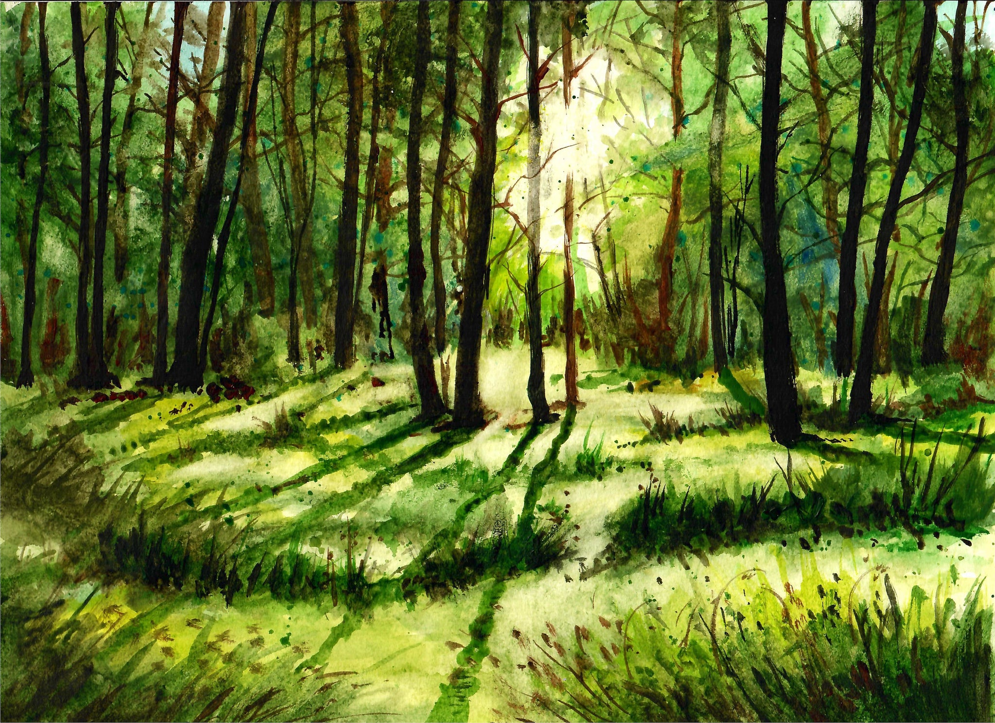 Nature - Sunlight Through Forest Trees, Green Trees, Forest Art, Forest Wall Decor
