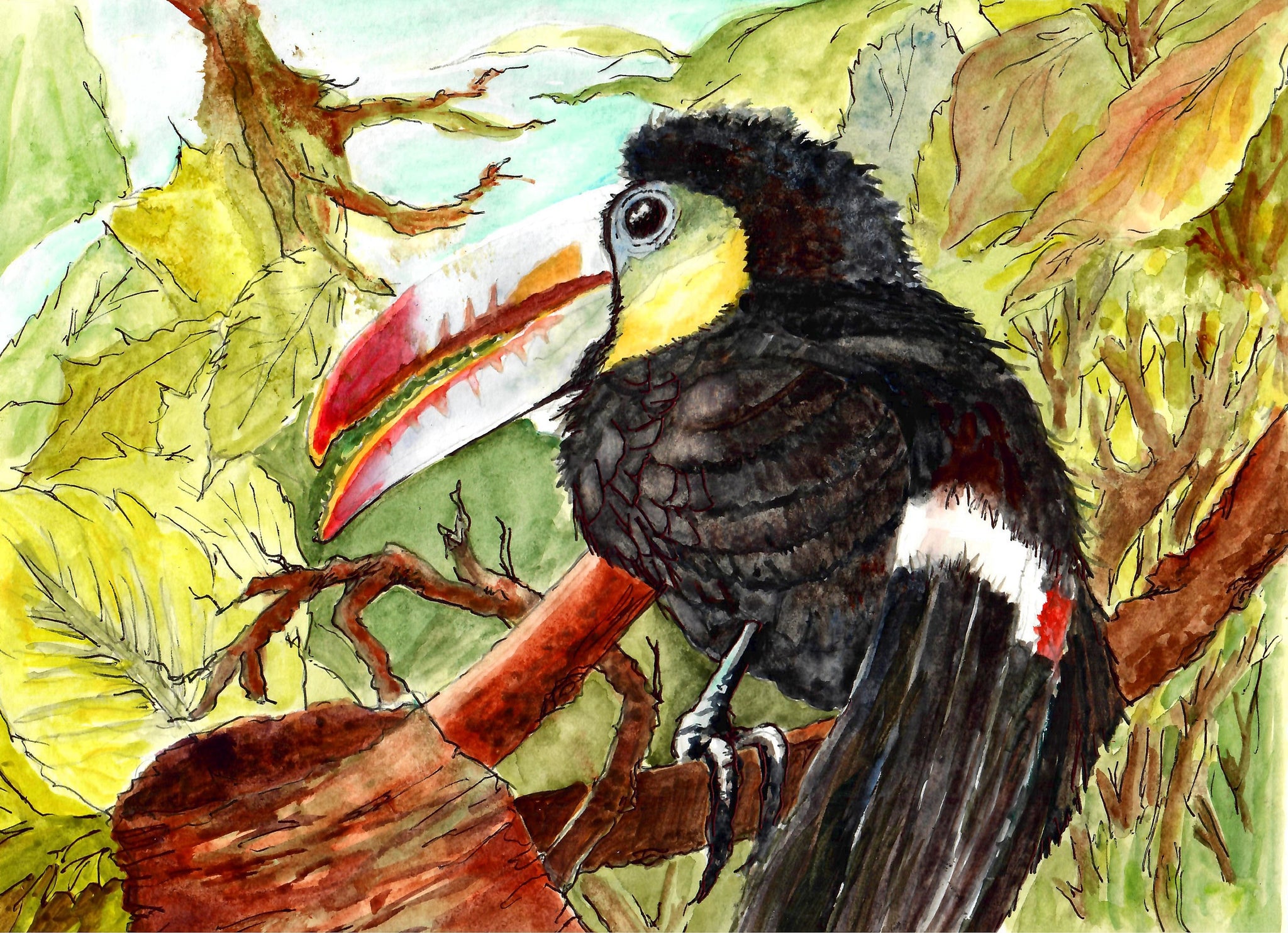 Nature - Toucan Bird In Jungle, Jungle Art Print, Beautiful Bird Art