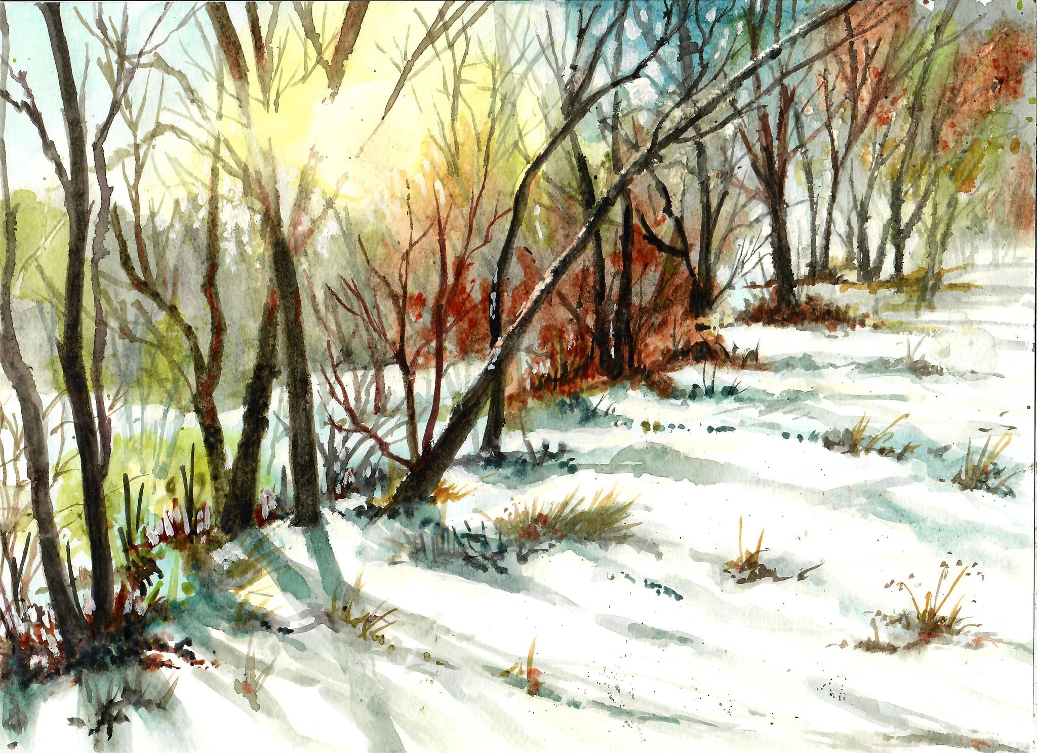 Nature - Winter Sunset In The Woods, Beautiful Winter Sunset, Snow Art