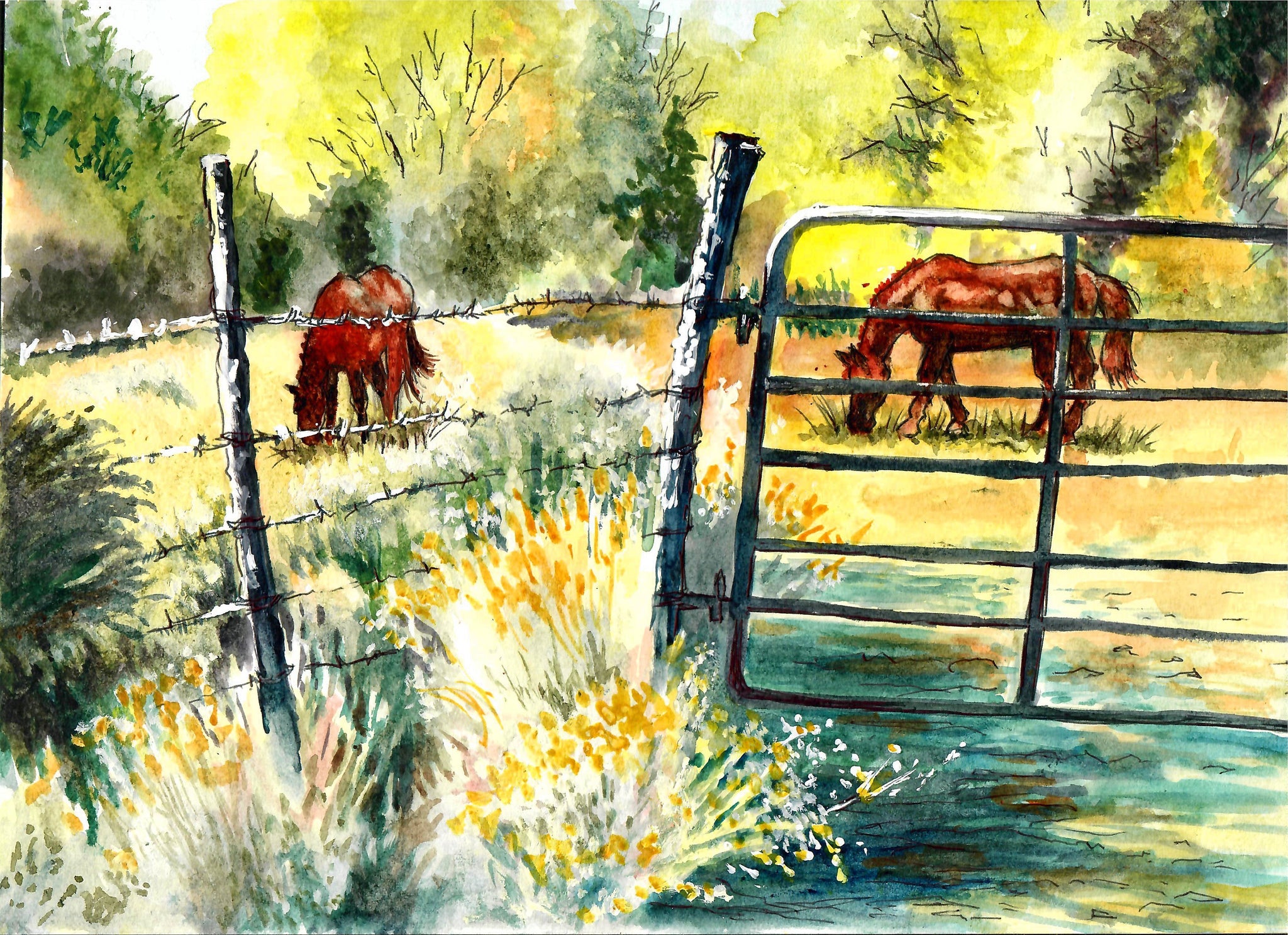 Nature - Horses Grazing In A Pasture, Horse Art, Country Art, Horse Farm, Country Art