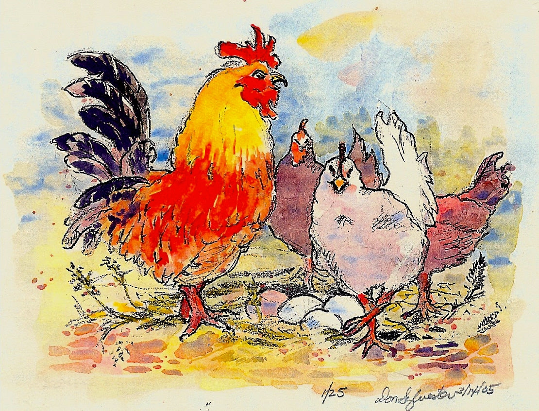NATURE - ROOSTER HENS AND EGGS