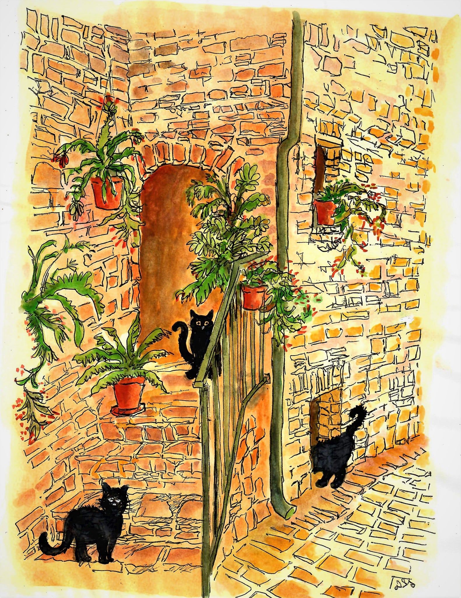 Cats Lounging At Home In A Old Paved Stone Alley