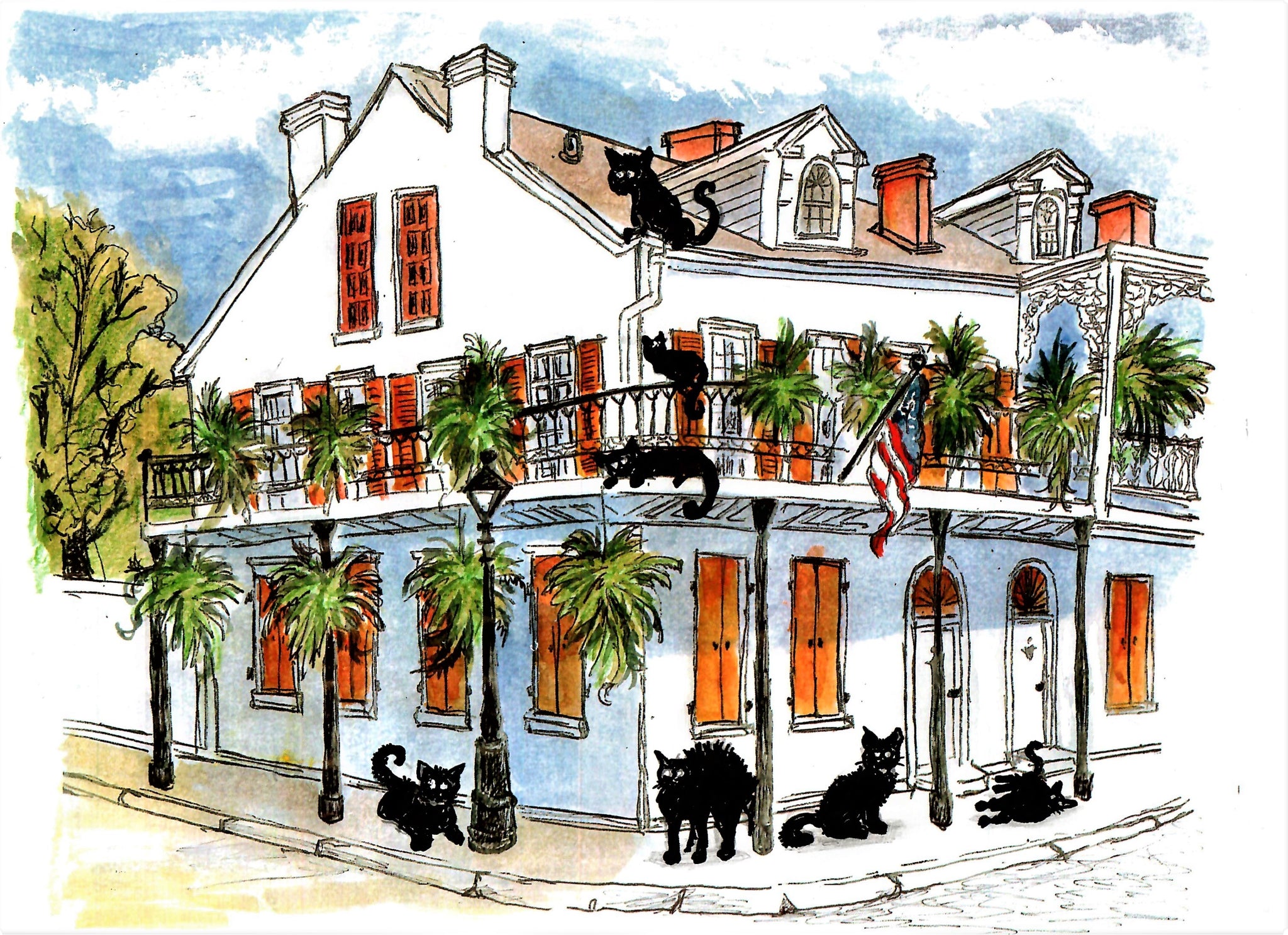 Cats At Home In Their Two Story White French Quarter Corner Mansion With Orange Shutters