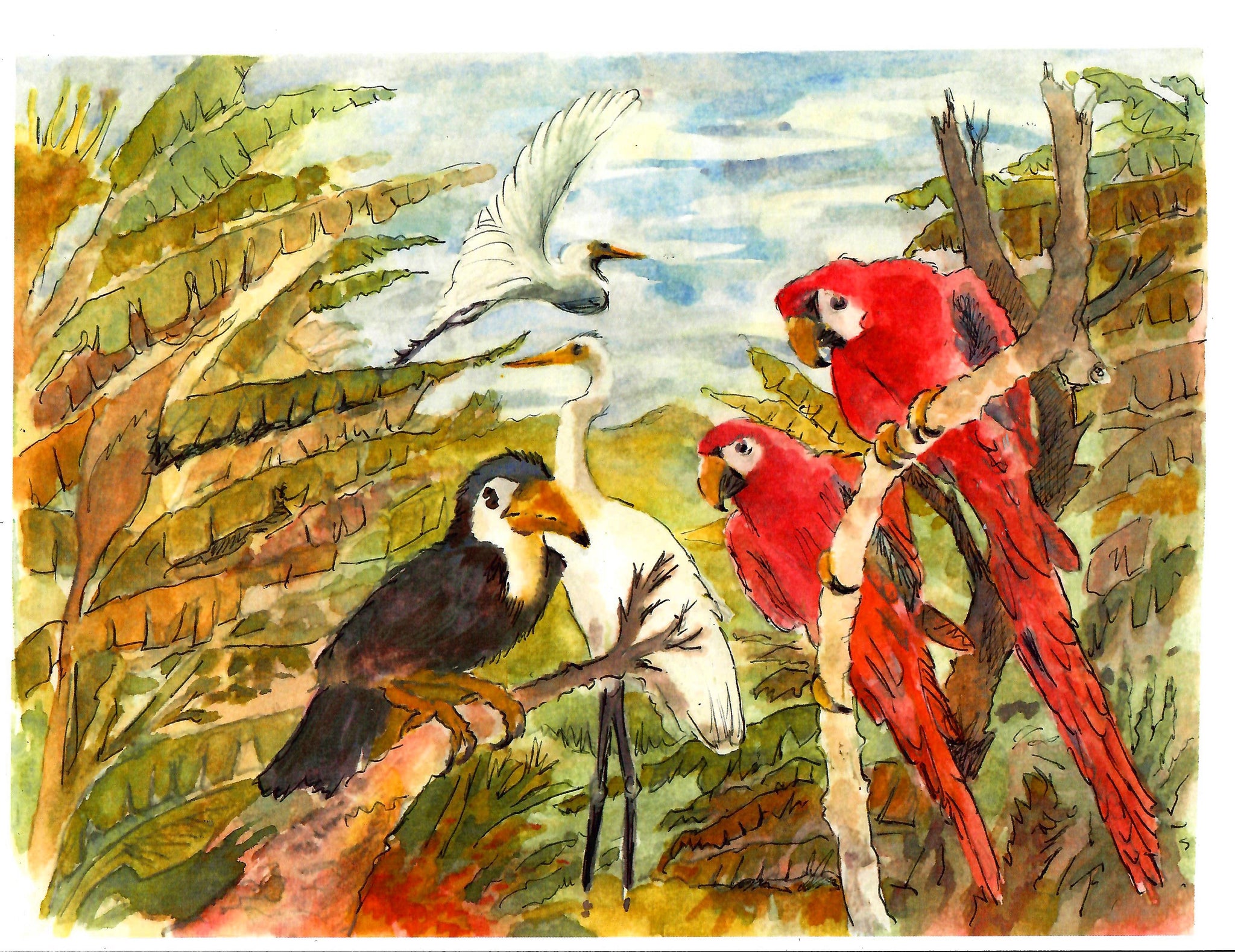 NATURE - BIRDS OF THE JUNGLE - TOUCAN, PARROTS, STORKS