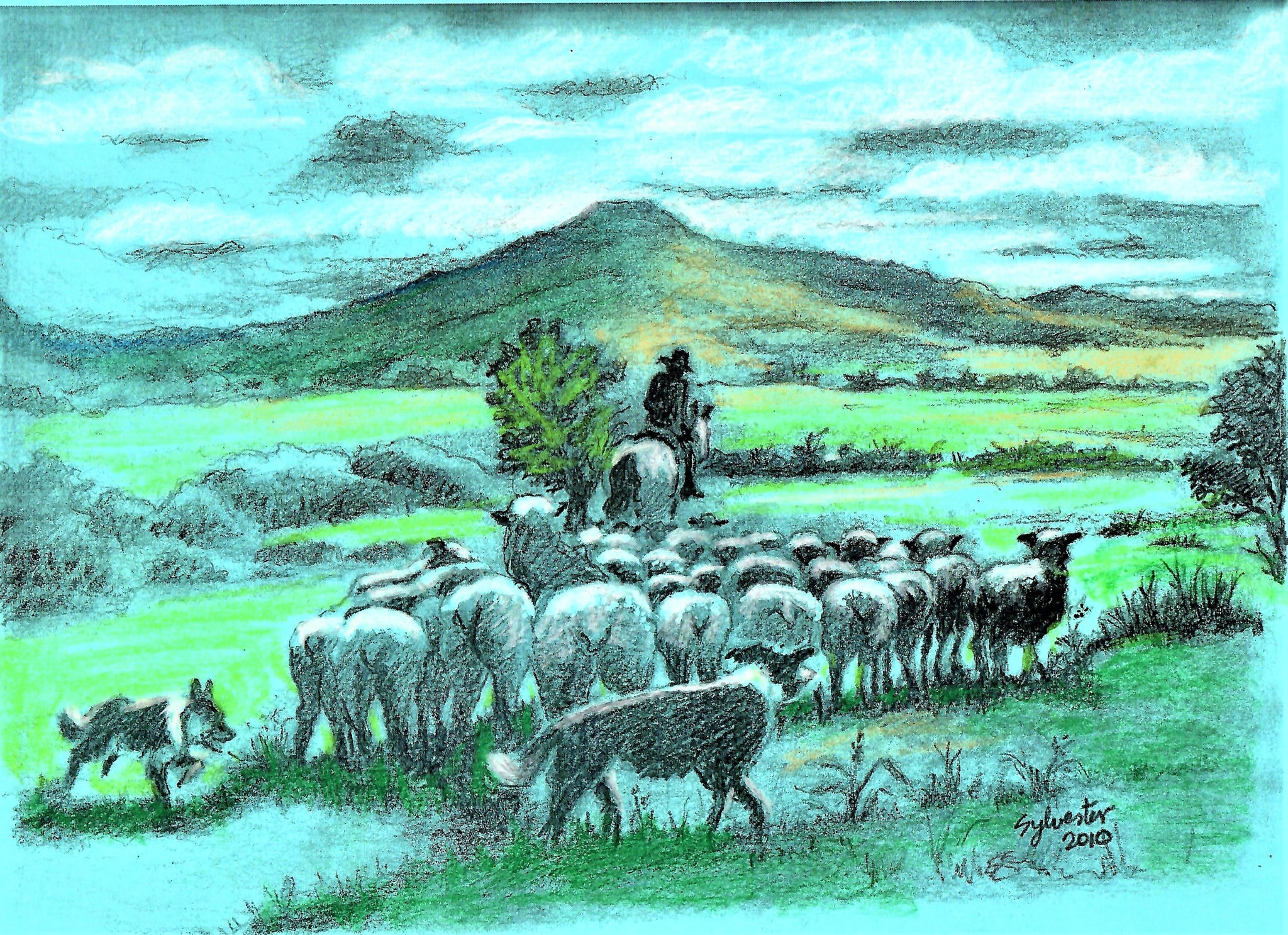 WESTERN - HERDING SHEEP IN THE MOUNTAINS
