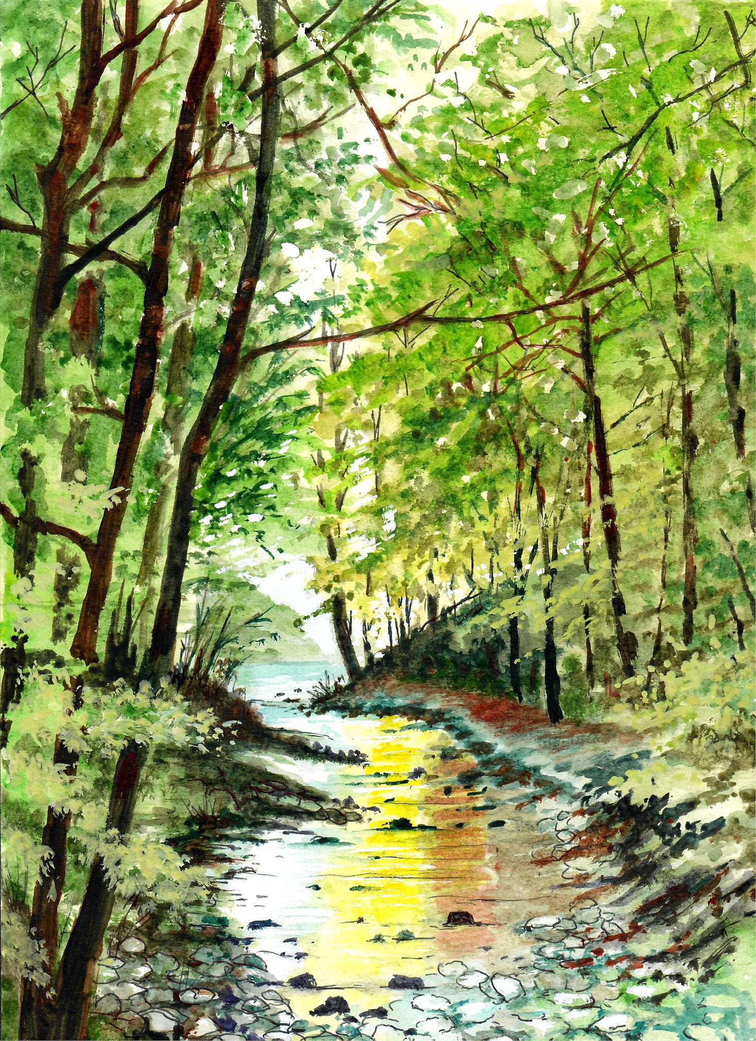 Nature - Creek In The Forest, Forest Trees, Beautiful Landscape, Landscape Art, Tree Art