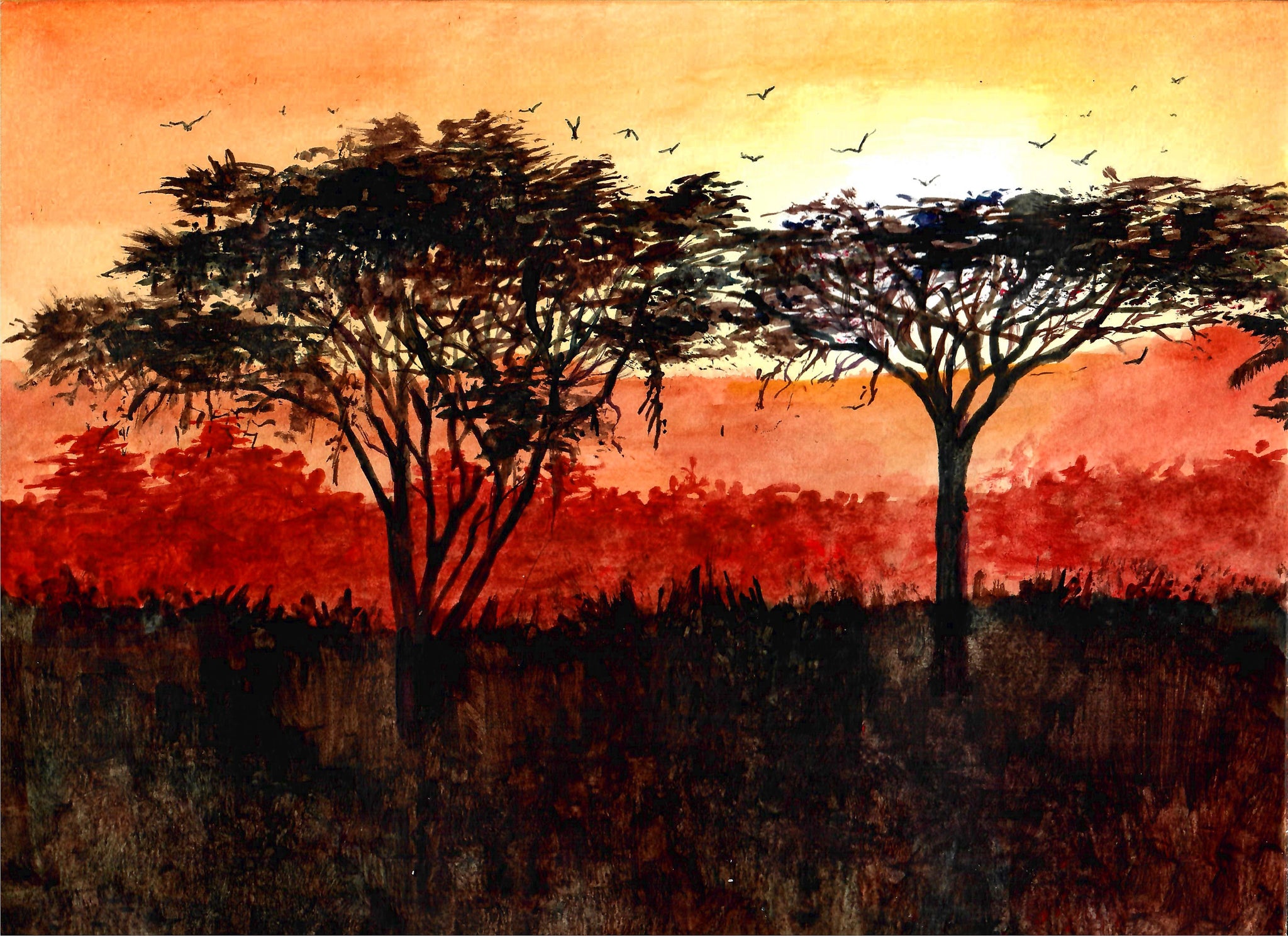 Nature - Flatland Trees At Sunset, Beautiful Trees, Flatlands, Tree Silouettes