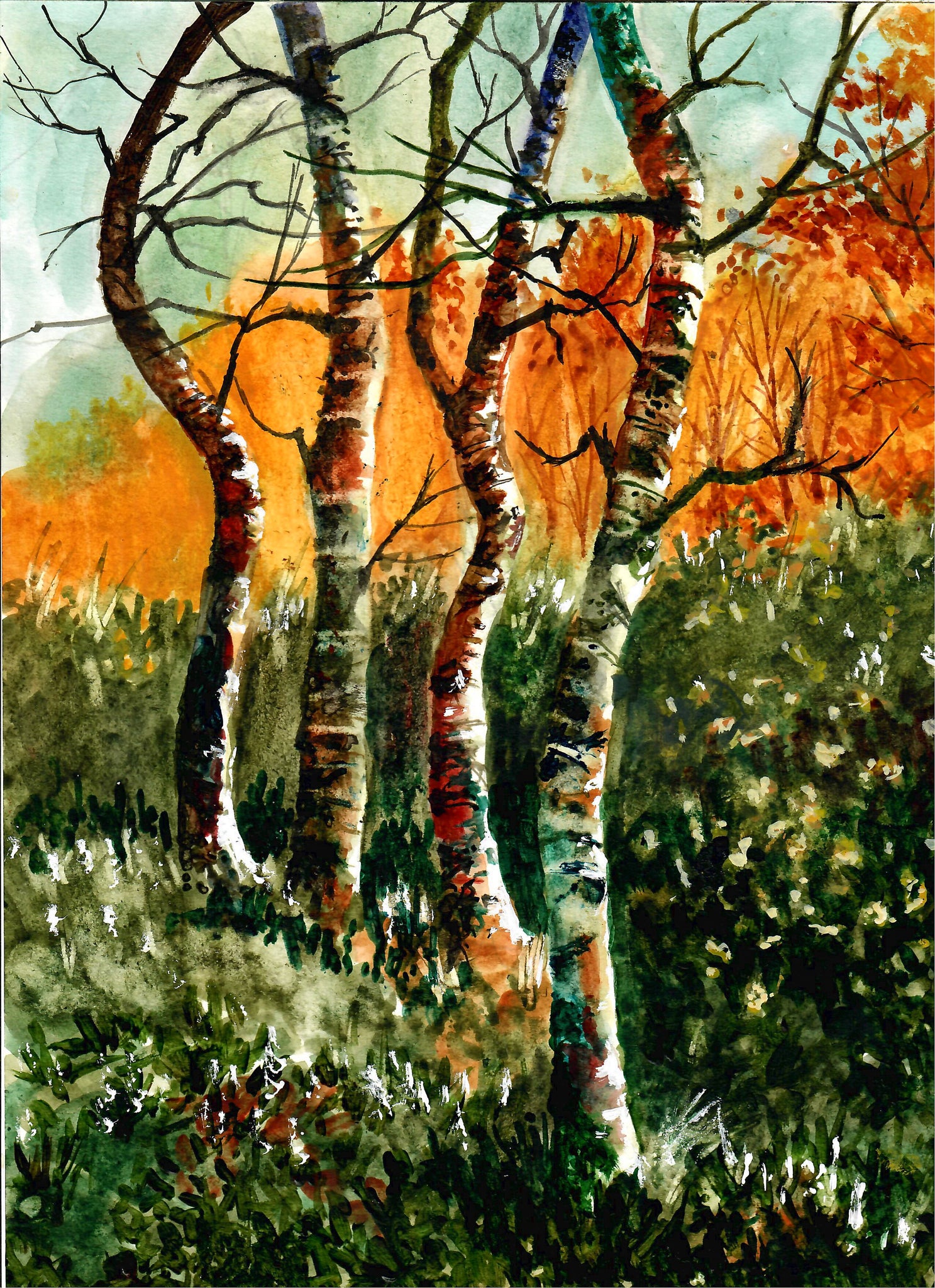 Nature - Four Birch Trees, Autumn Trees, Fall Forest, Birch Tree Art, Birch Wall Decor