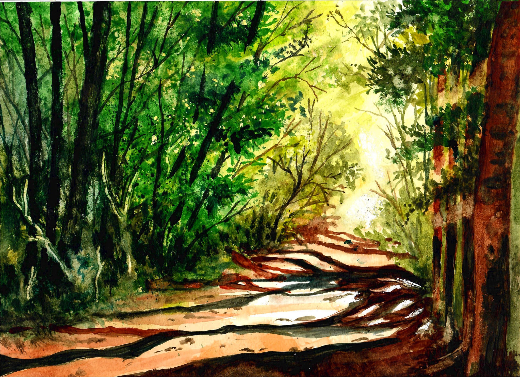 Nature - Path In A Shaded Forest, Forest Walkway, Forest Art, Forest Wall Decor