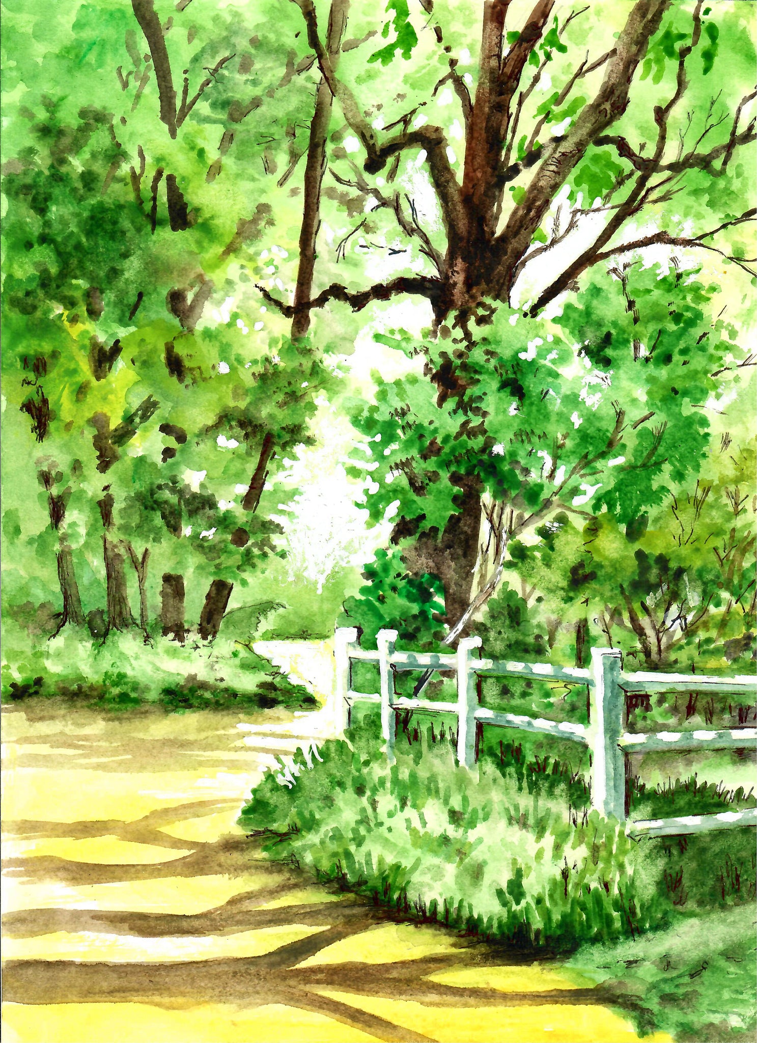 Nature - Shade Trees In A Park, Shade Tree Art Print