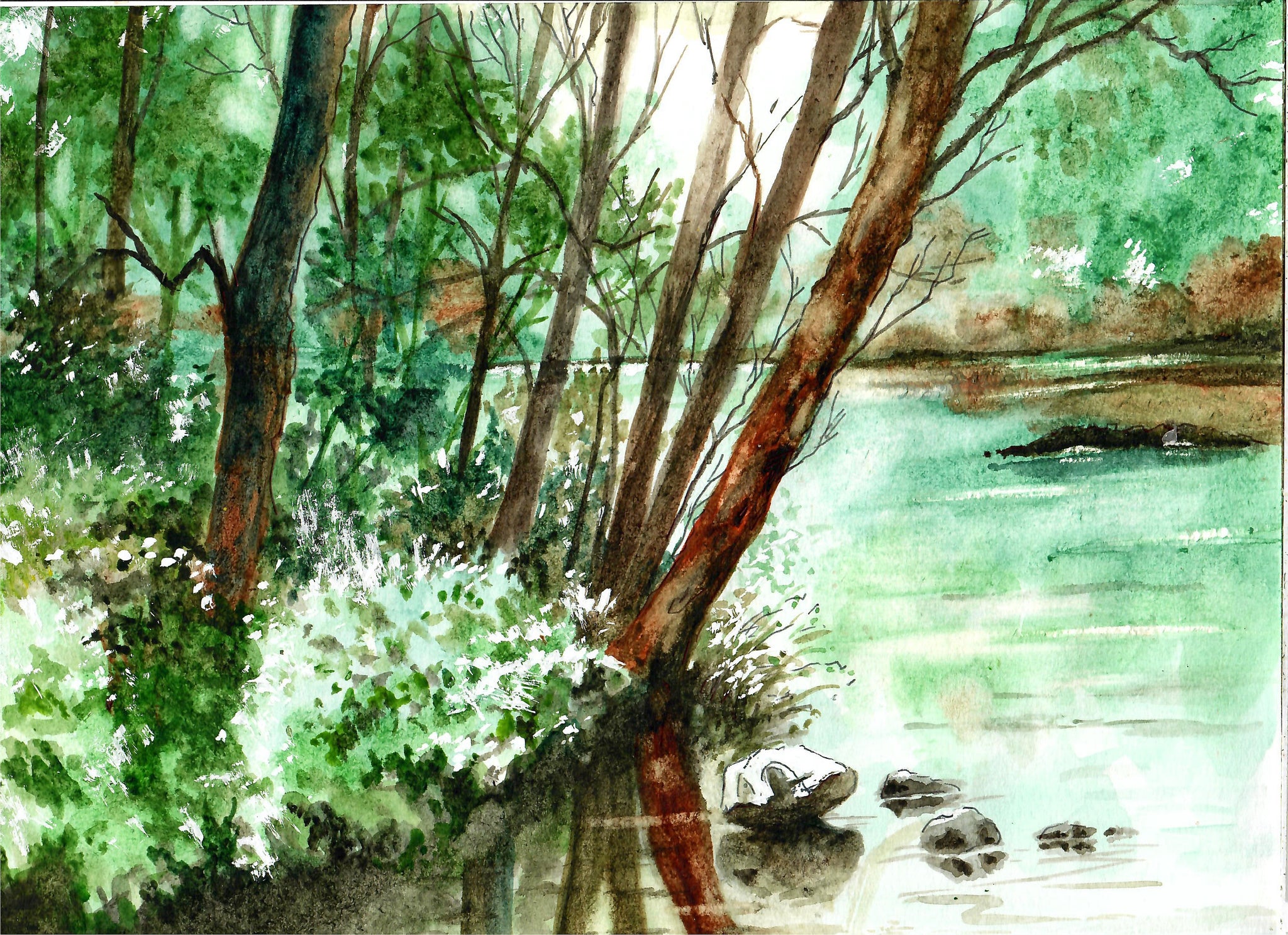 Nature - Sunlight On A Pond, Landscape Art, Lakefront Art, Light On  A Pond
