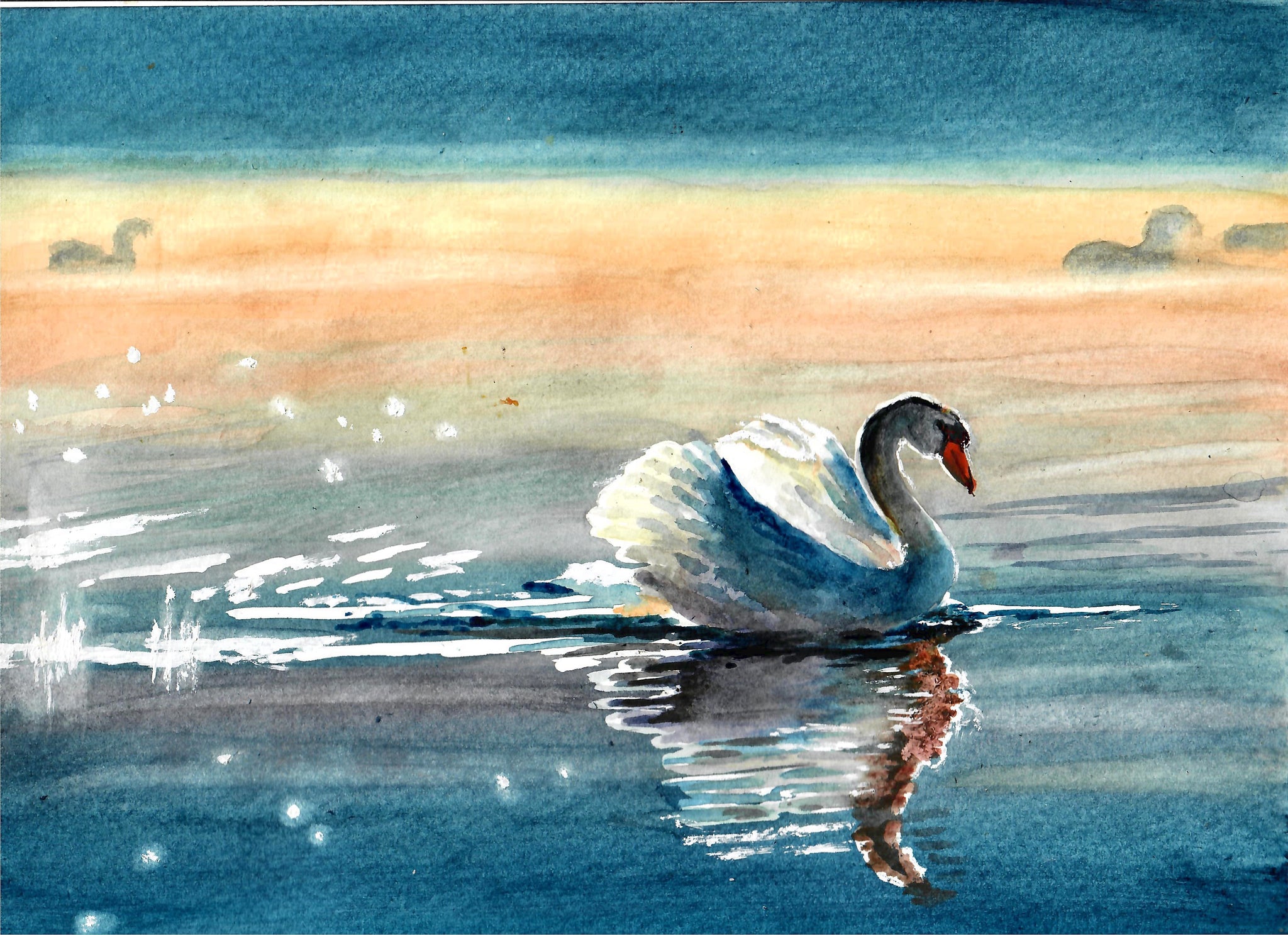 Nature - Swans In Sunset, Swan Art Print, Swan Decor, White Swans