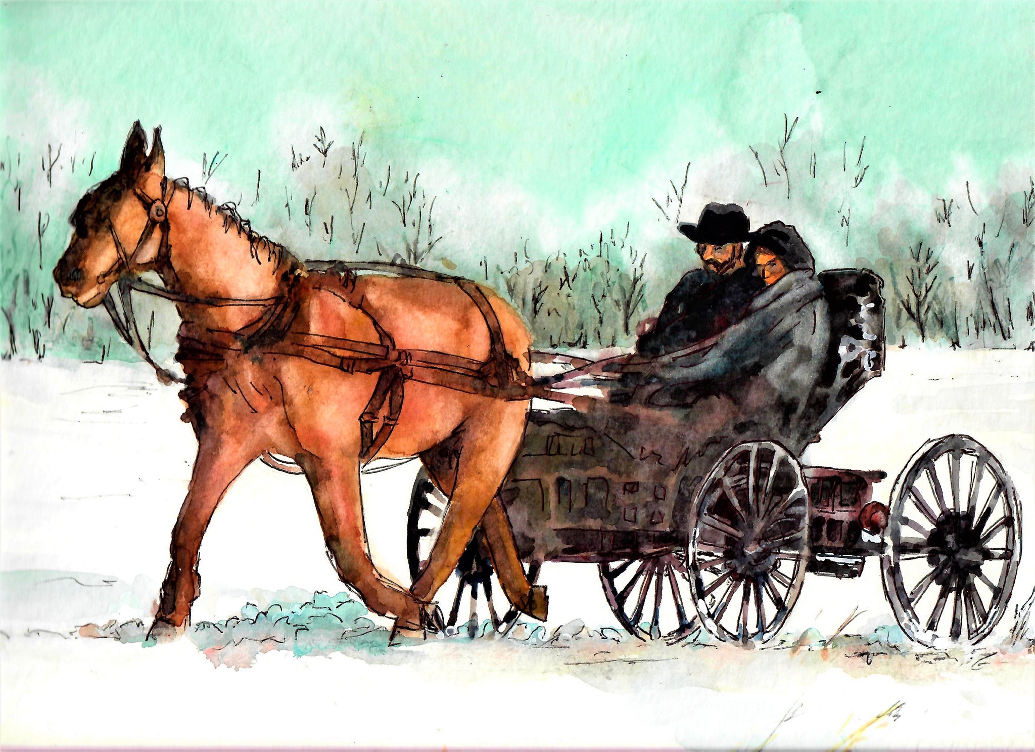 People - Amish Couple In Horse And Buggy