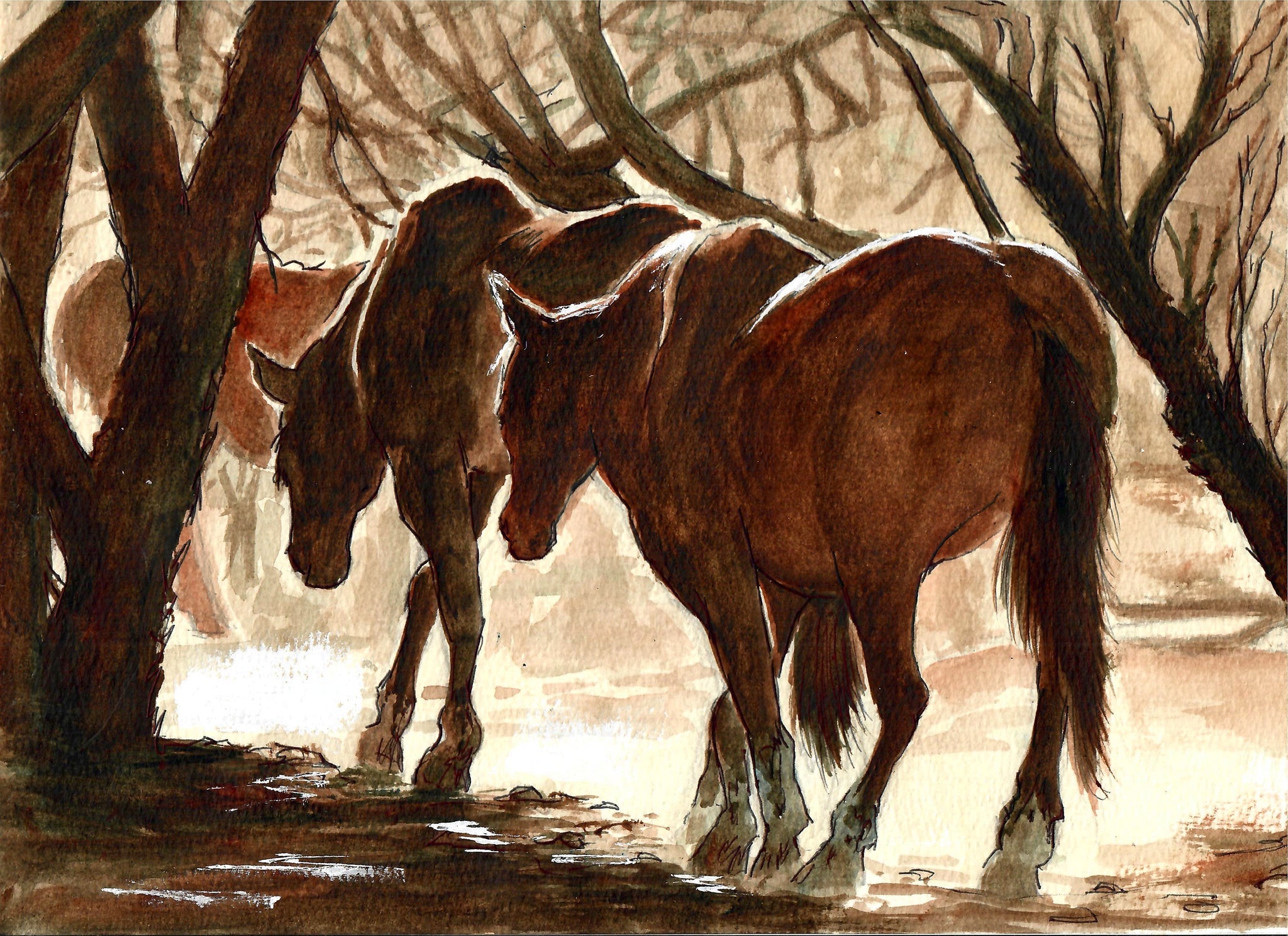 Western - Horses In The Sunlight,  Wild Horses, Western Art