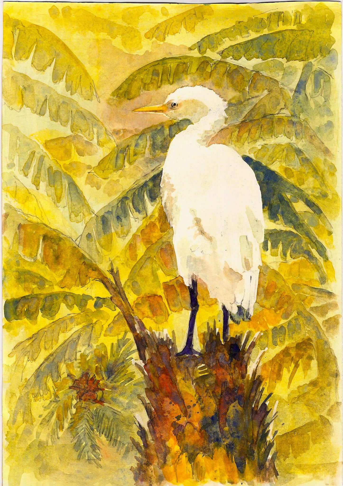 NATURE - WHITE EGRET STANDING ON A RED PALM STUMP