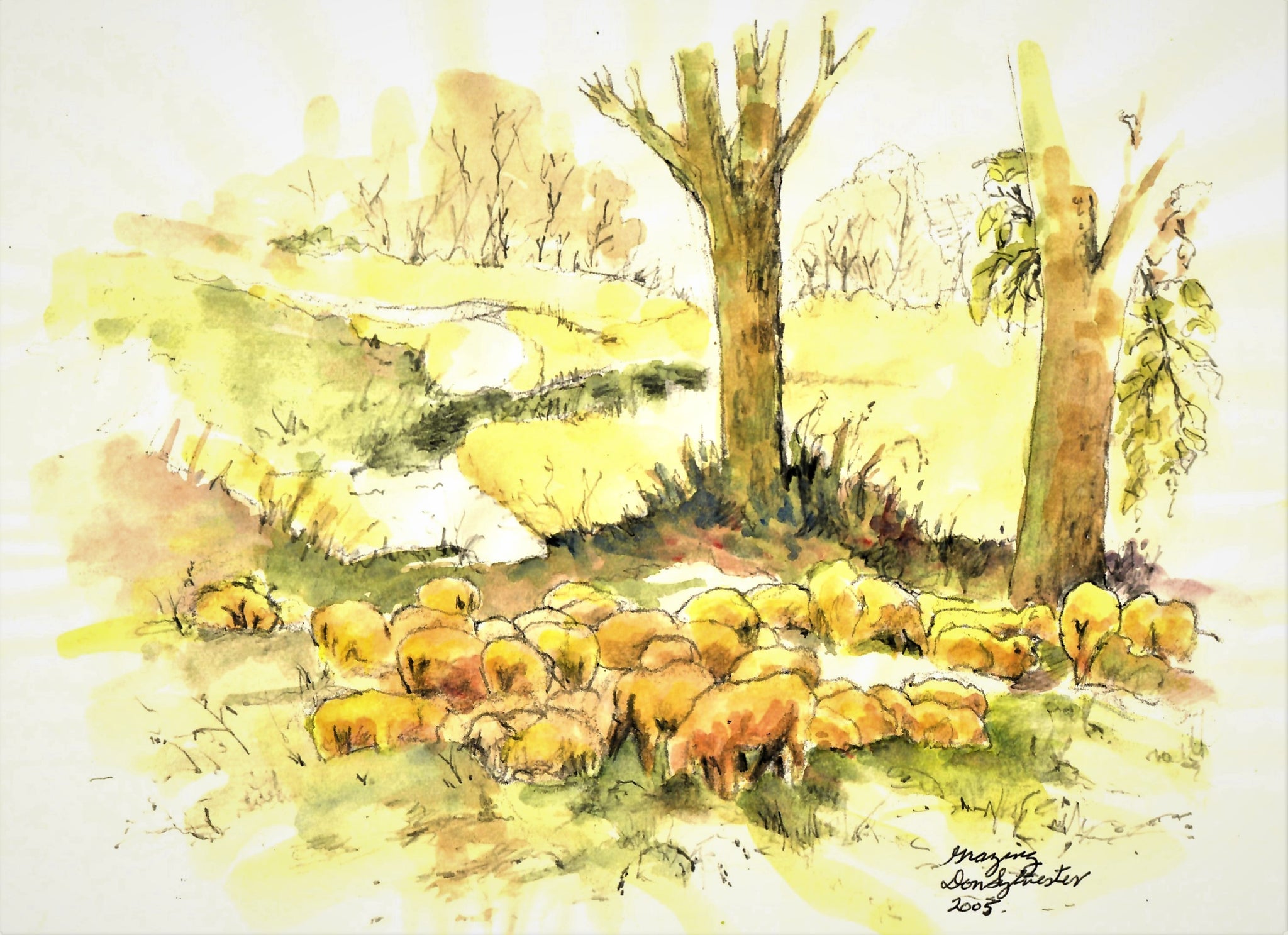 NATURE - SHEEP RESTING AND GRAZING UNDER SHADE TREES IN THE COUNTRY