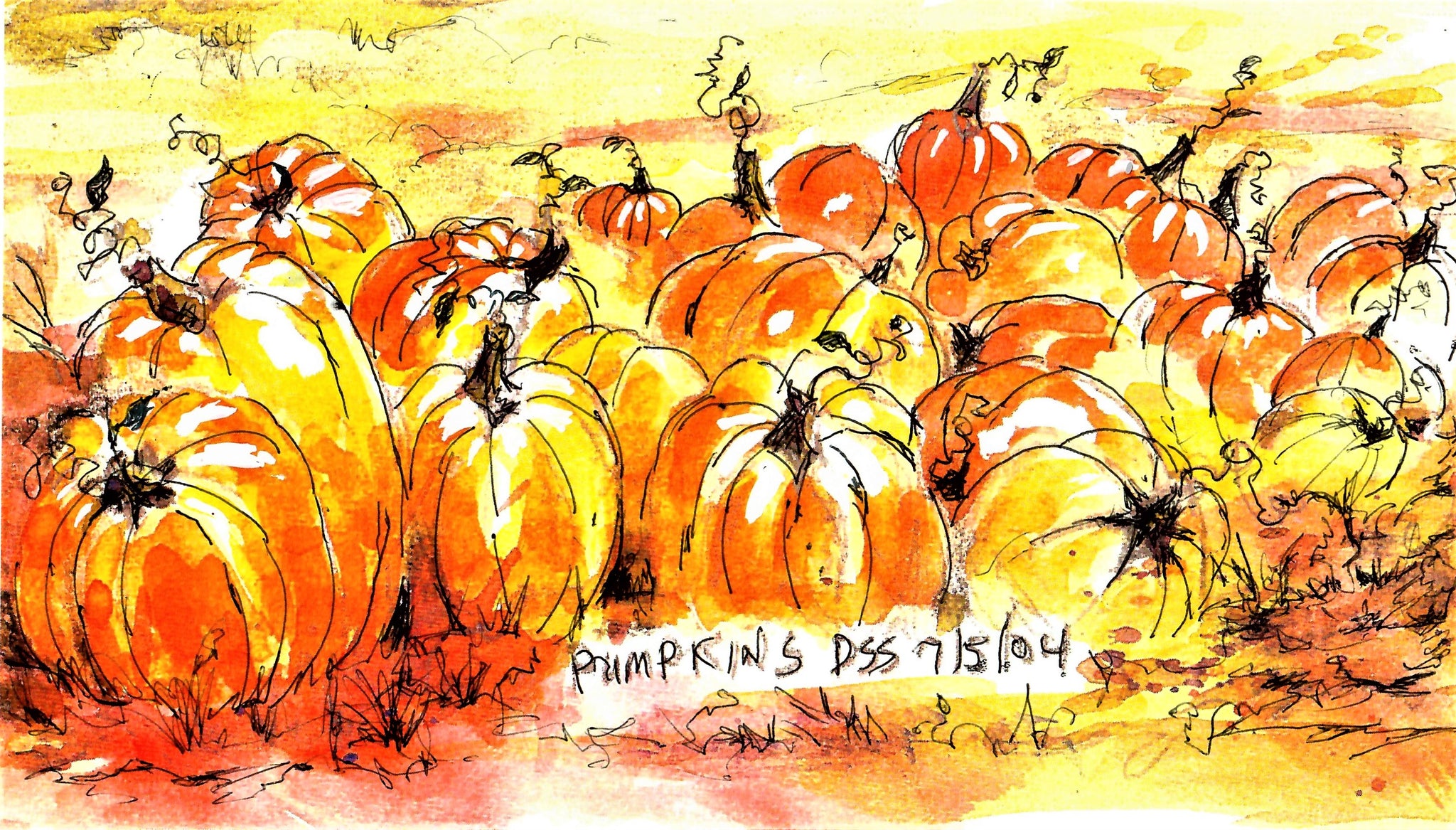 NATURE - Pumpkin Harvest - Watercolor And Ink Print By Don Sylvester