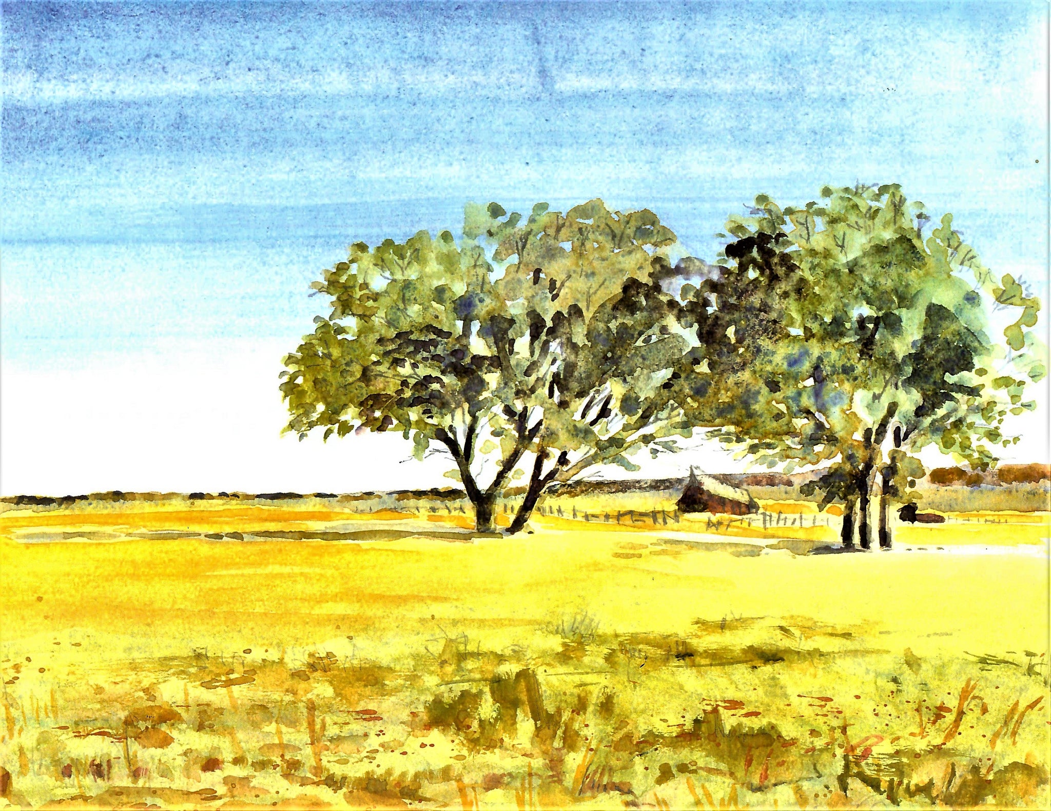 NATURE - TREES, FLATLAND AND A BARN AND FENCE IN THE WEST